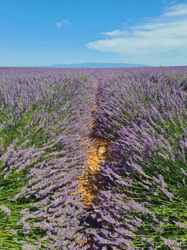브나스크 Escapades En Ventoux 빌라 외부 사진